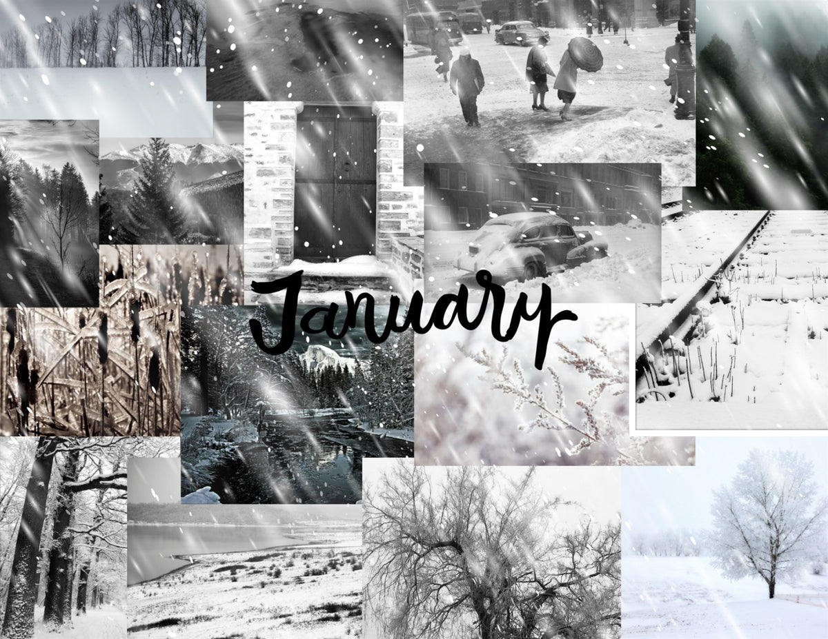 seasons in collage: 2027 wall calendar january artwork
