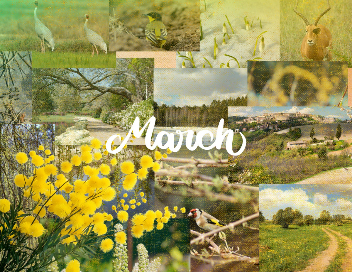seasons in collage: 2027 wall calendar march artwork