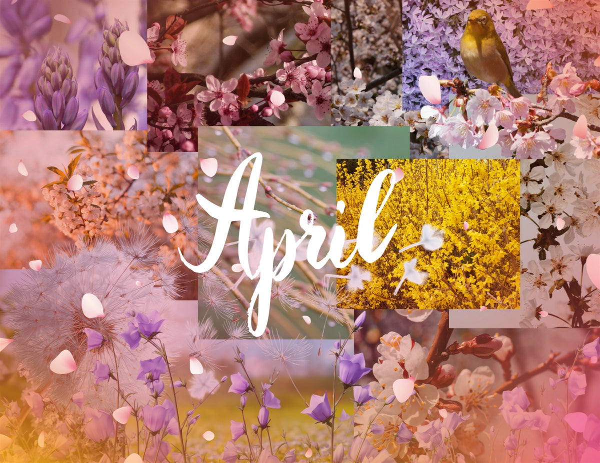 seasons in collage: 2027 wall calendar april artwork