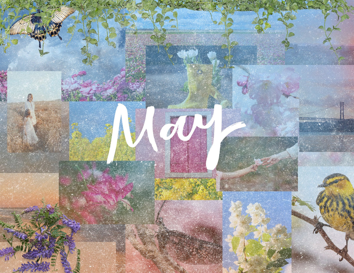 seasons in collage: 2027 wall calendar may artwork