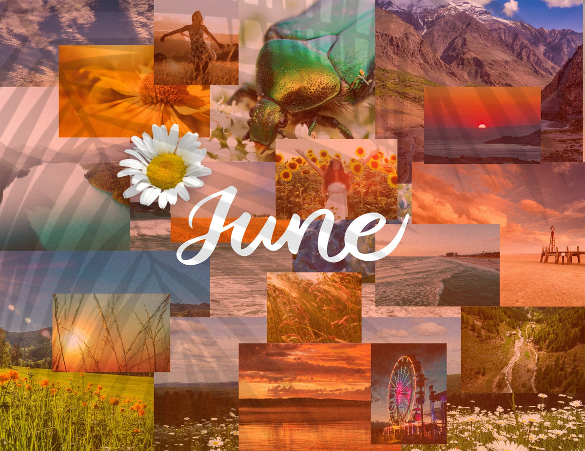 seasons in collage: 2027 wall calendar june artwork
