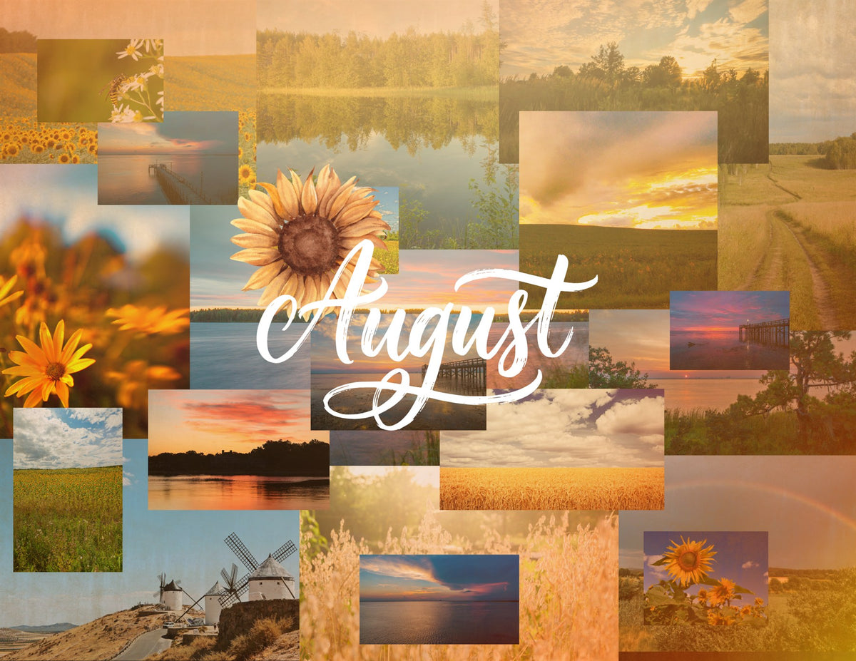 seasons in collage: 2027 wall calendar august artwork