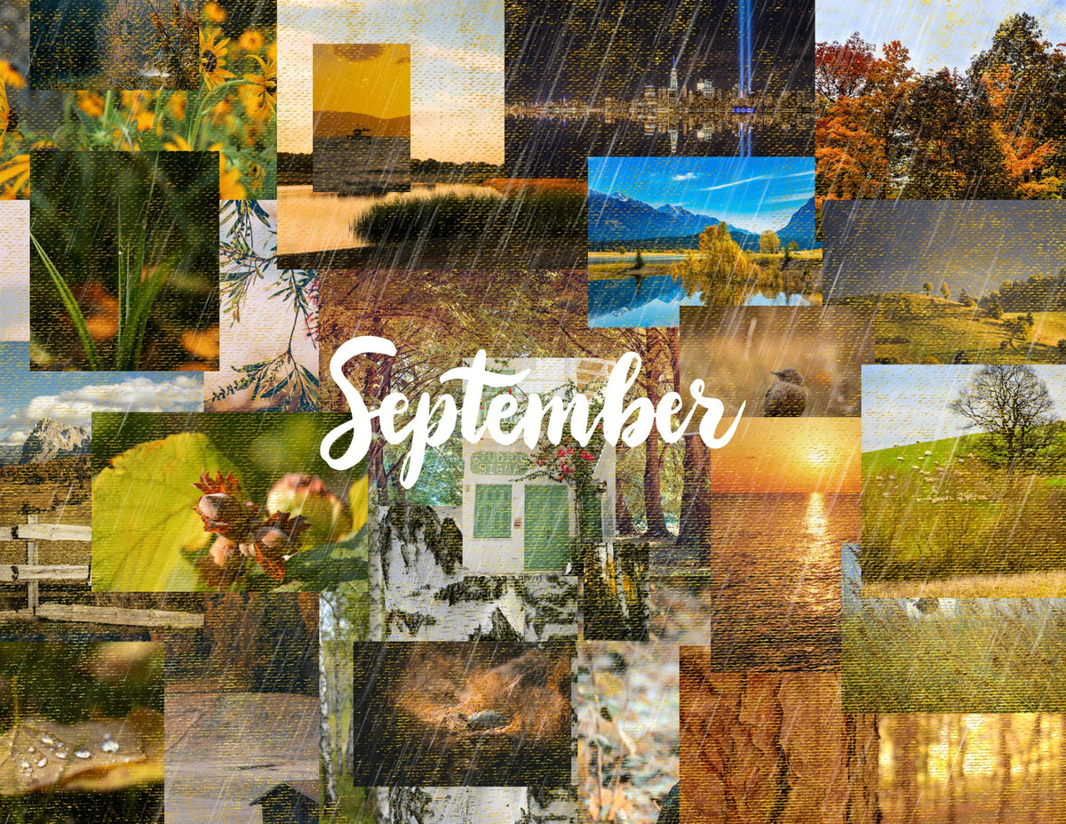 seasons in collage: 2027 wall calendar september artwork