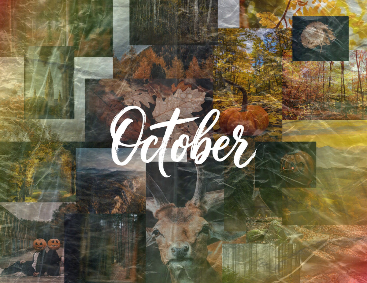 seasons in collage: 2027 wall calendar october artwork