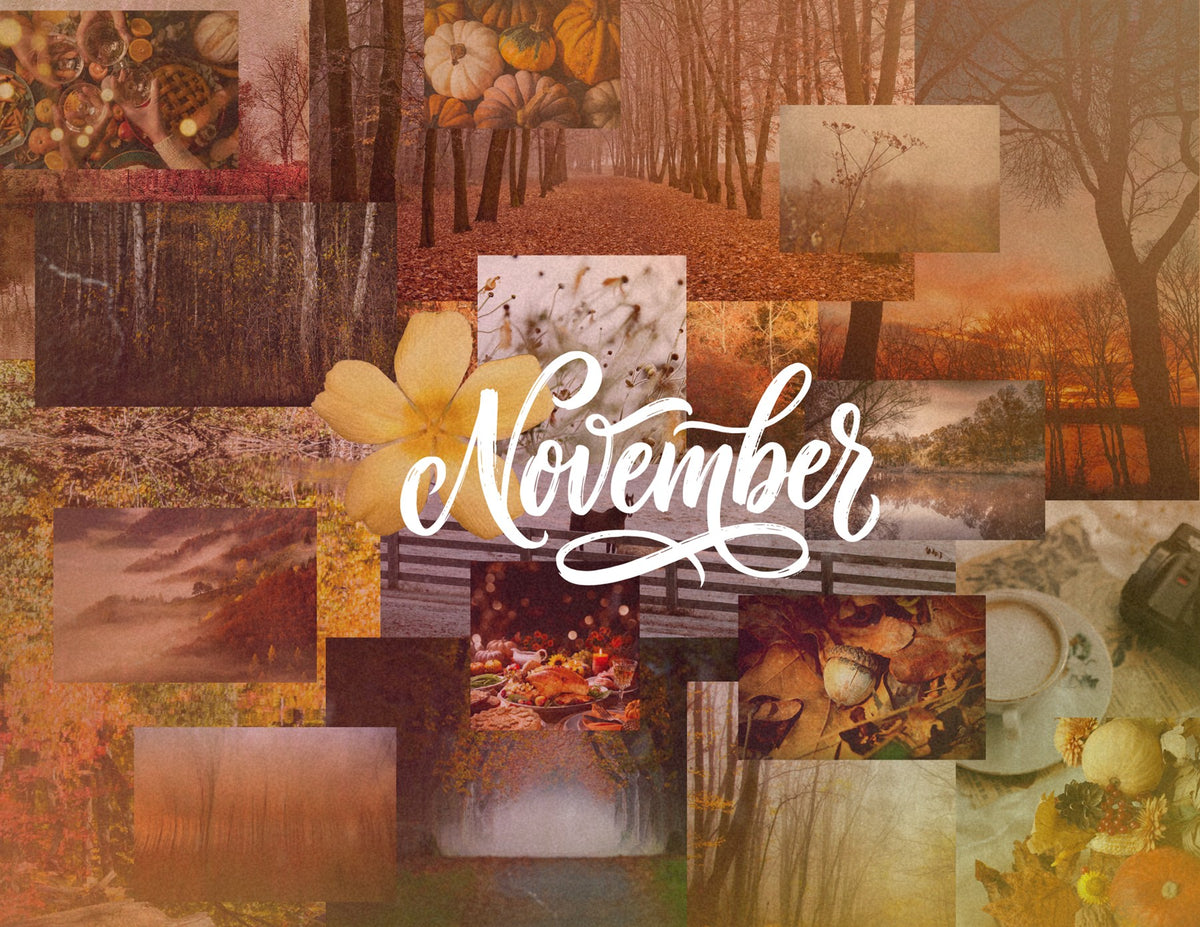 seasons in collage: 2027 wall calendar november artwork