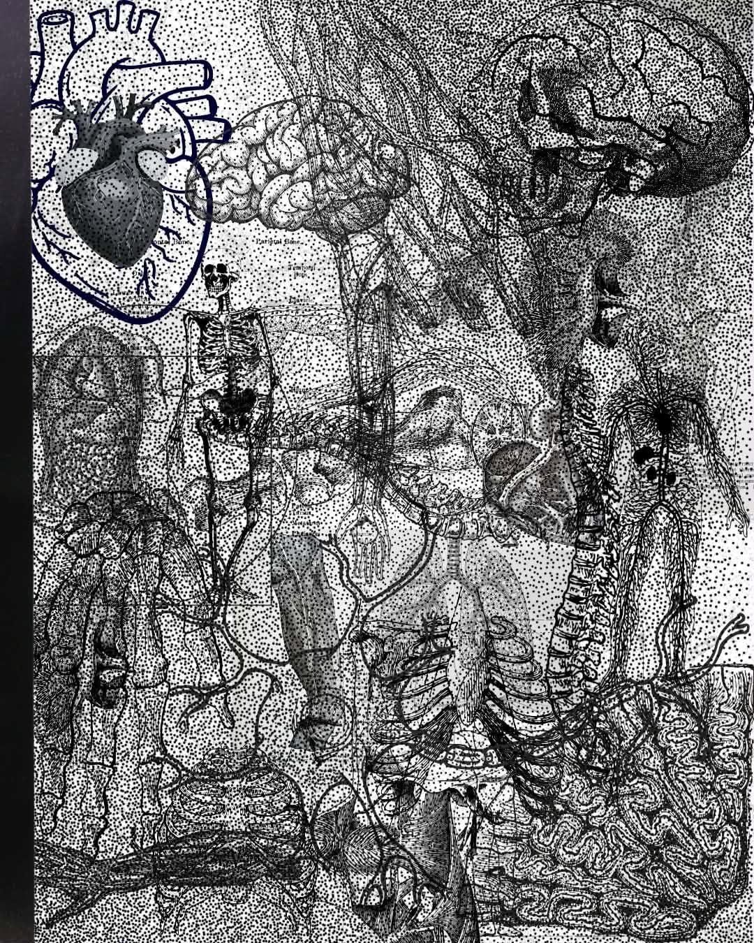 Anatomy of Thought