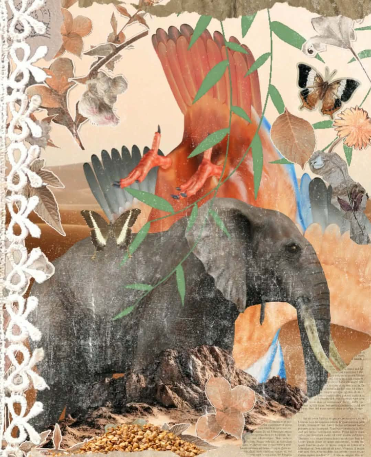 The Botanist