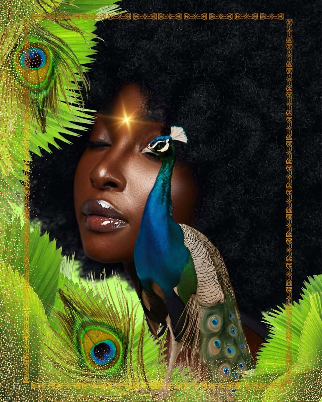 Peacock Muse