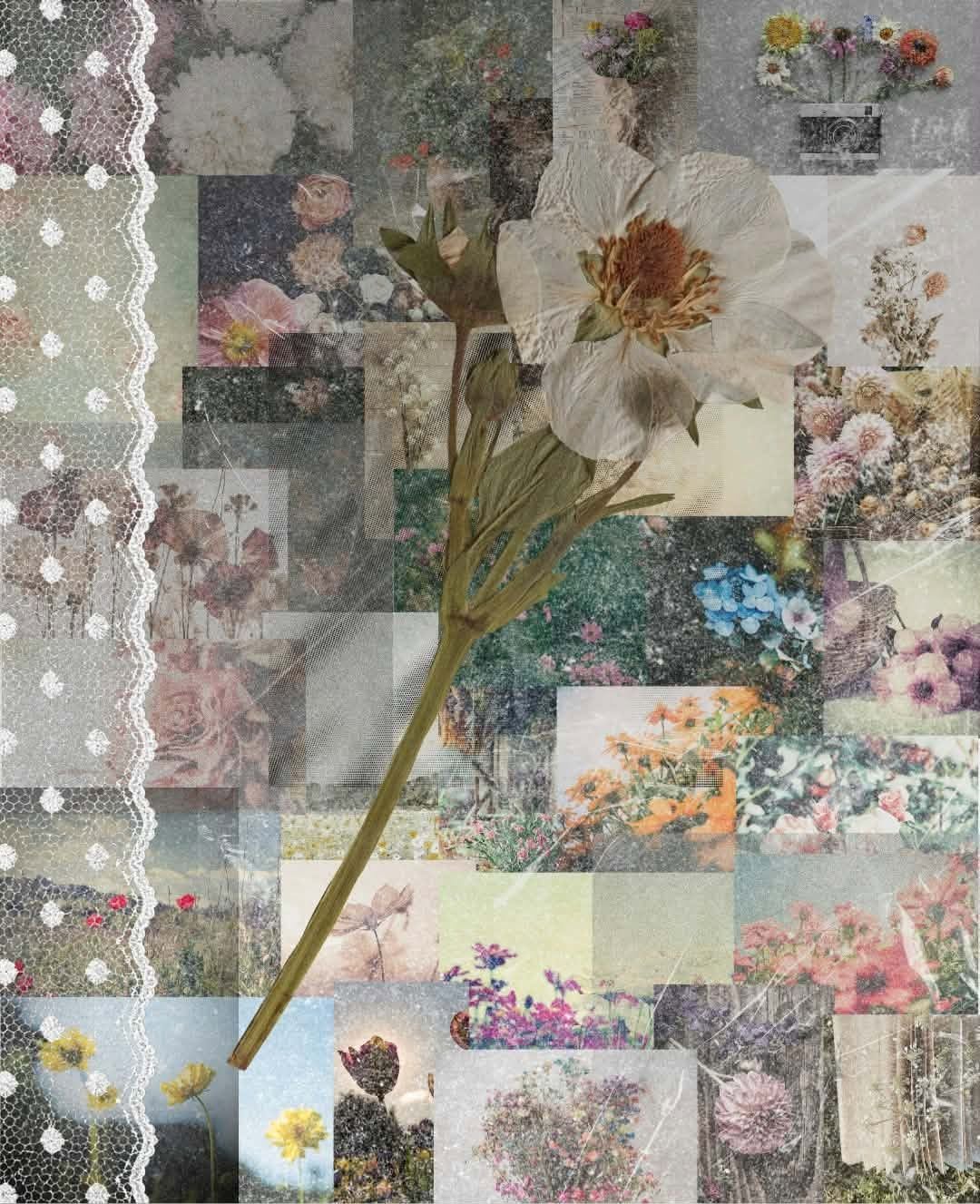Pressed Garden