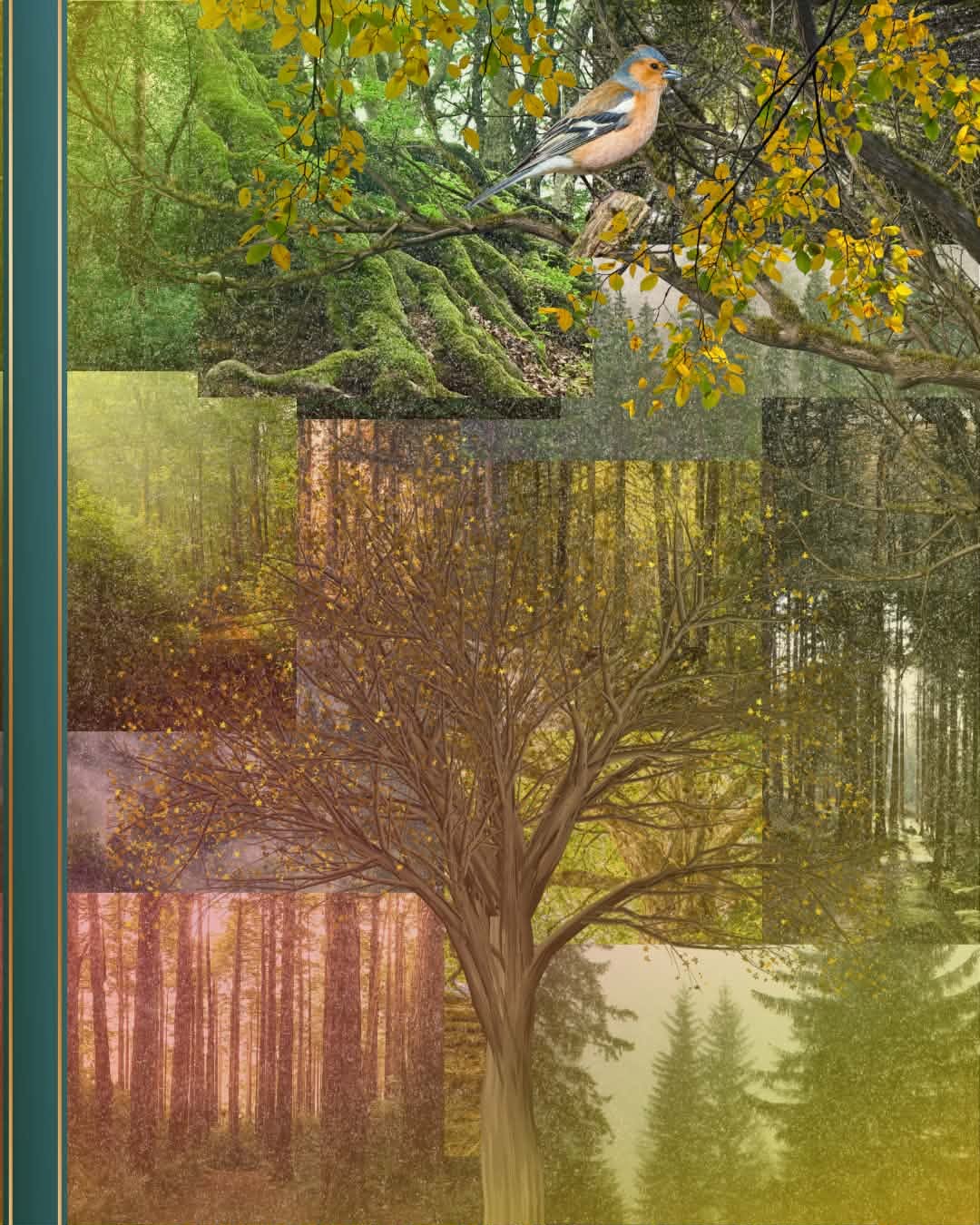 Woodland Song